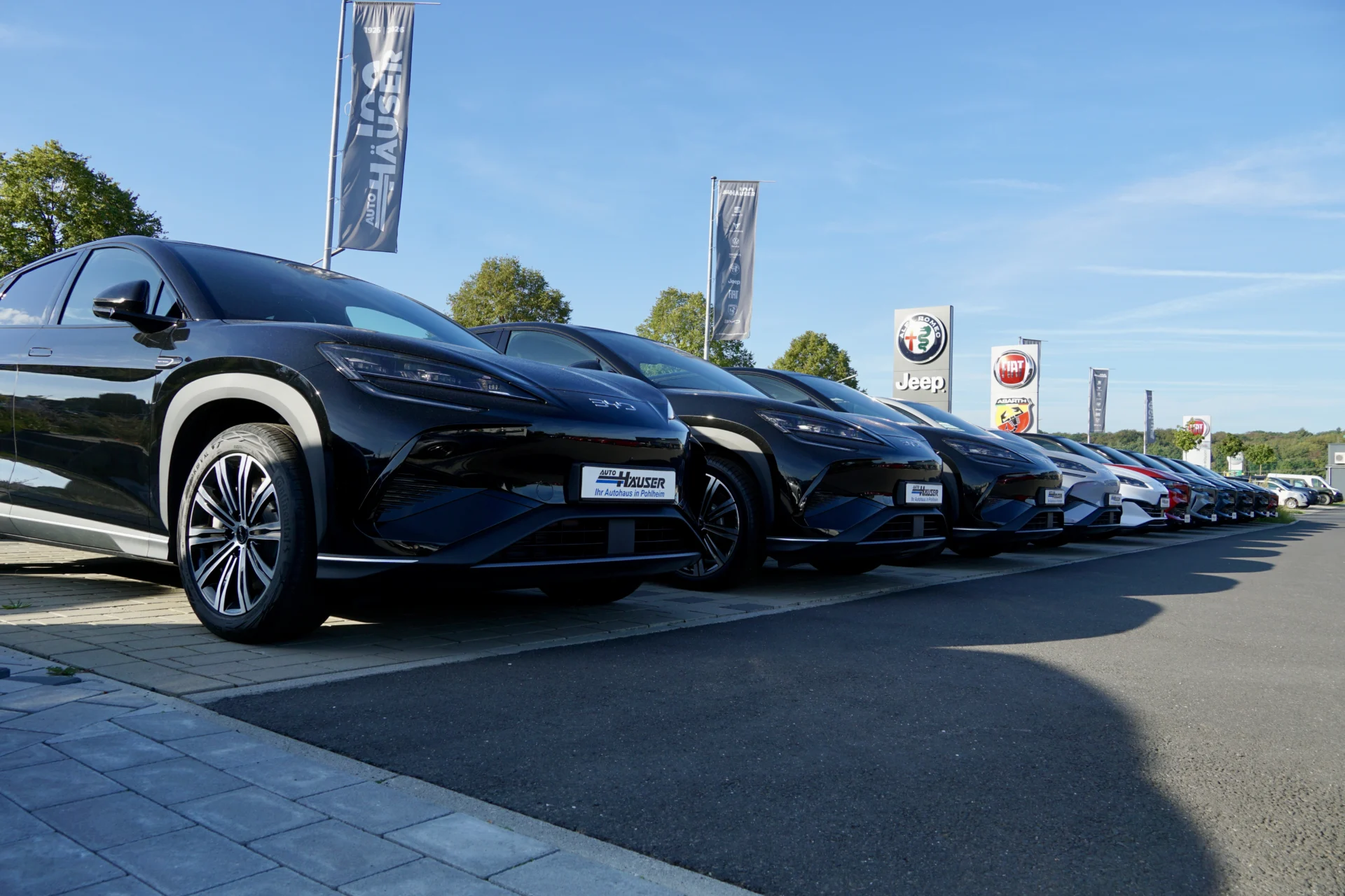 RDS18 BYD