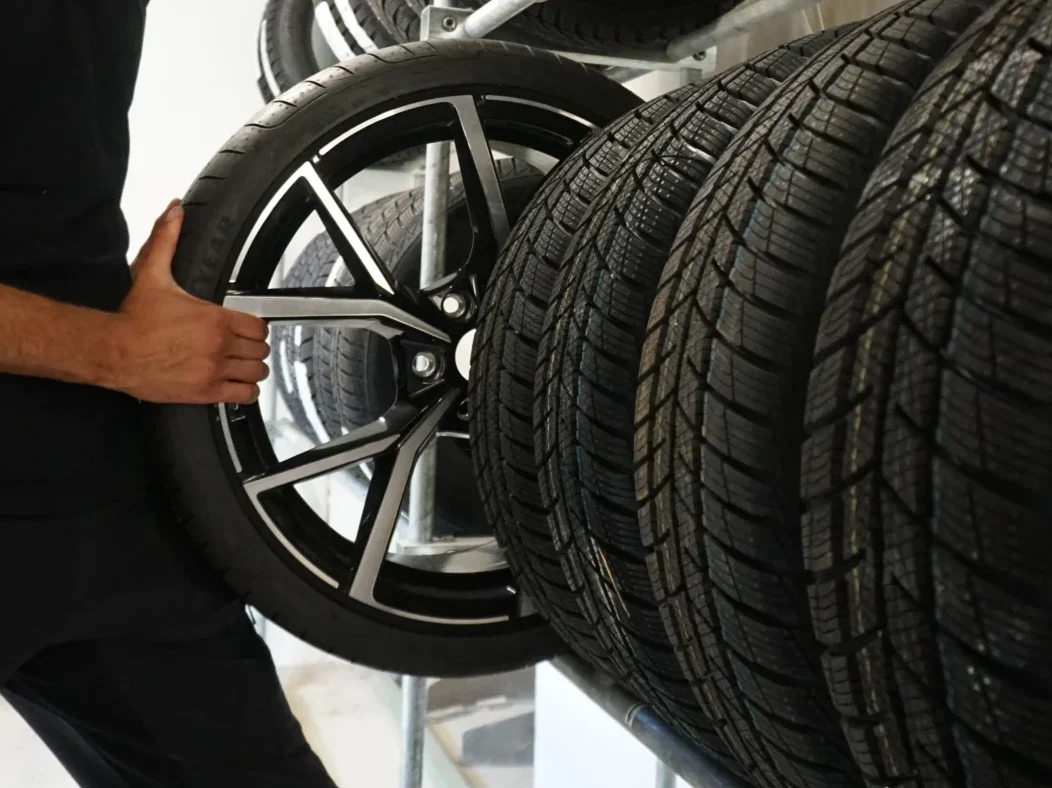 Cropped DSC05425.webp
