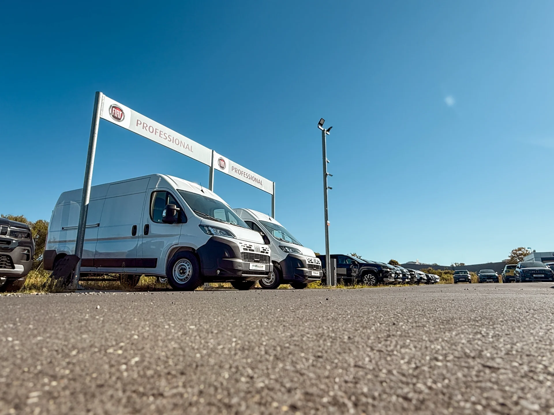 Fleet und Business