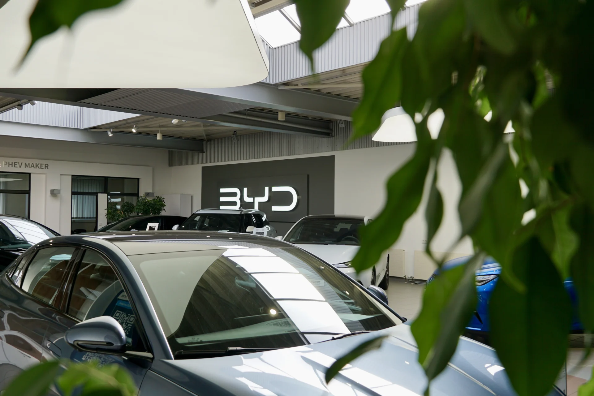 GS9 BYD Showroom