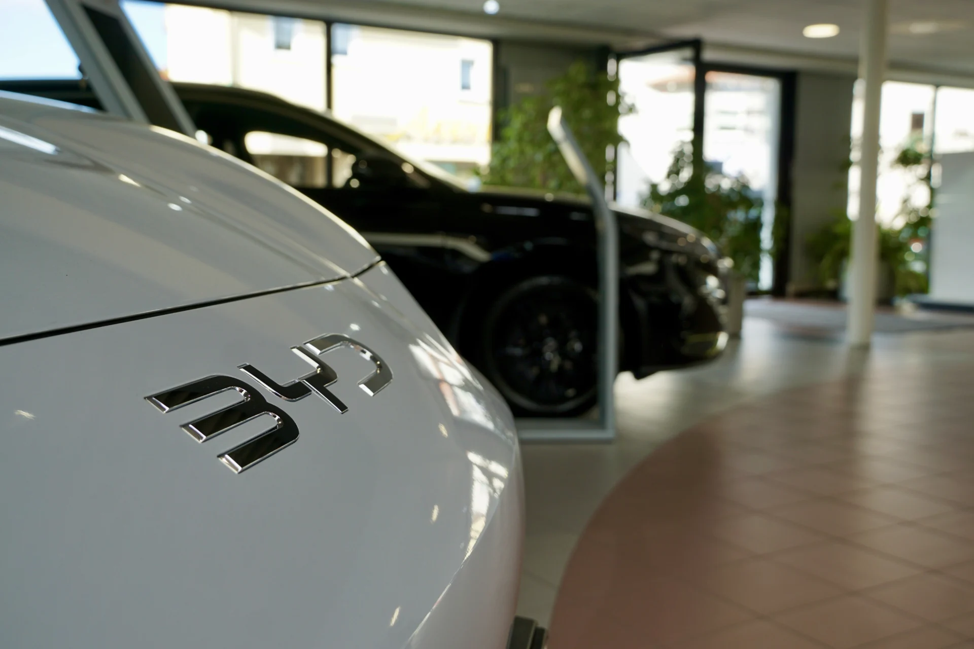 GS9 BYD Showroom