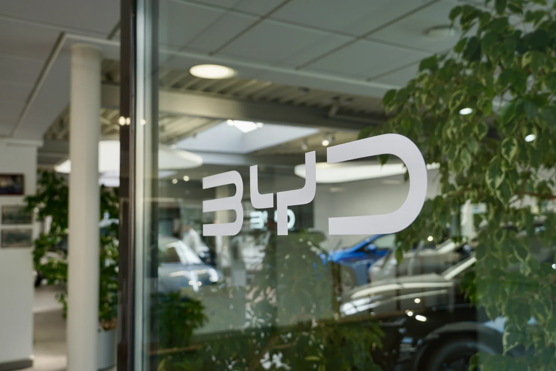 GS9 BYD Showroom