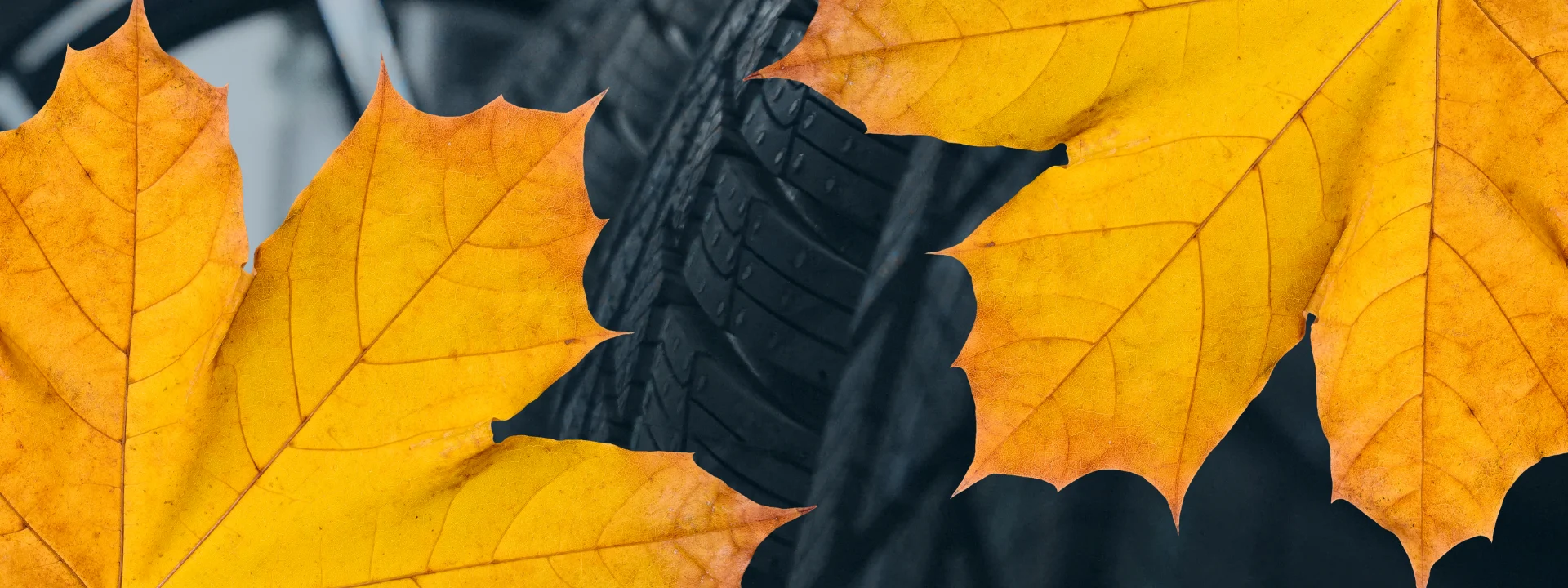 RW Herbst 26 Web 1920x720 px
